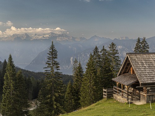 Fotogalerie Vorschaubild