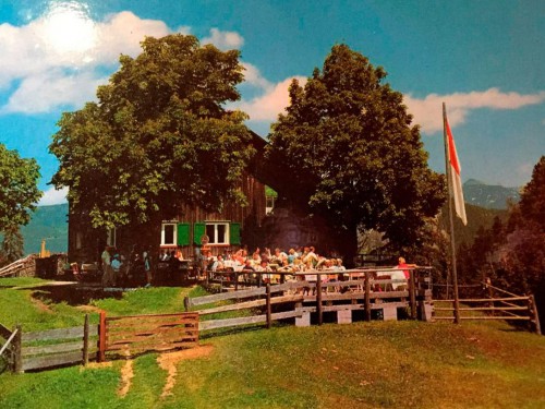 Fotogalerie Vorschaubild